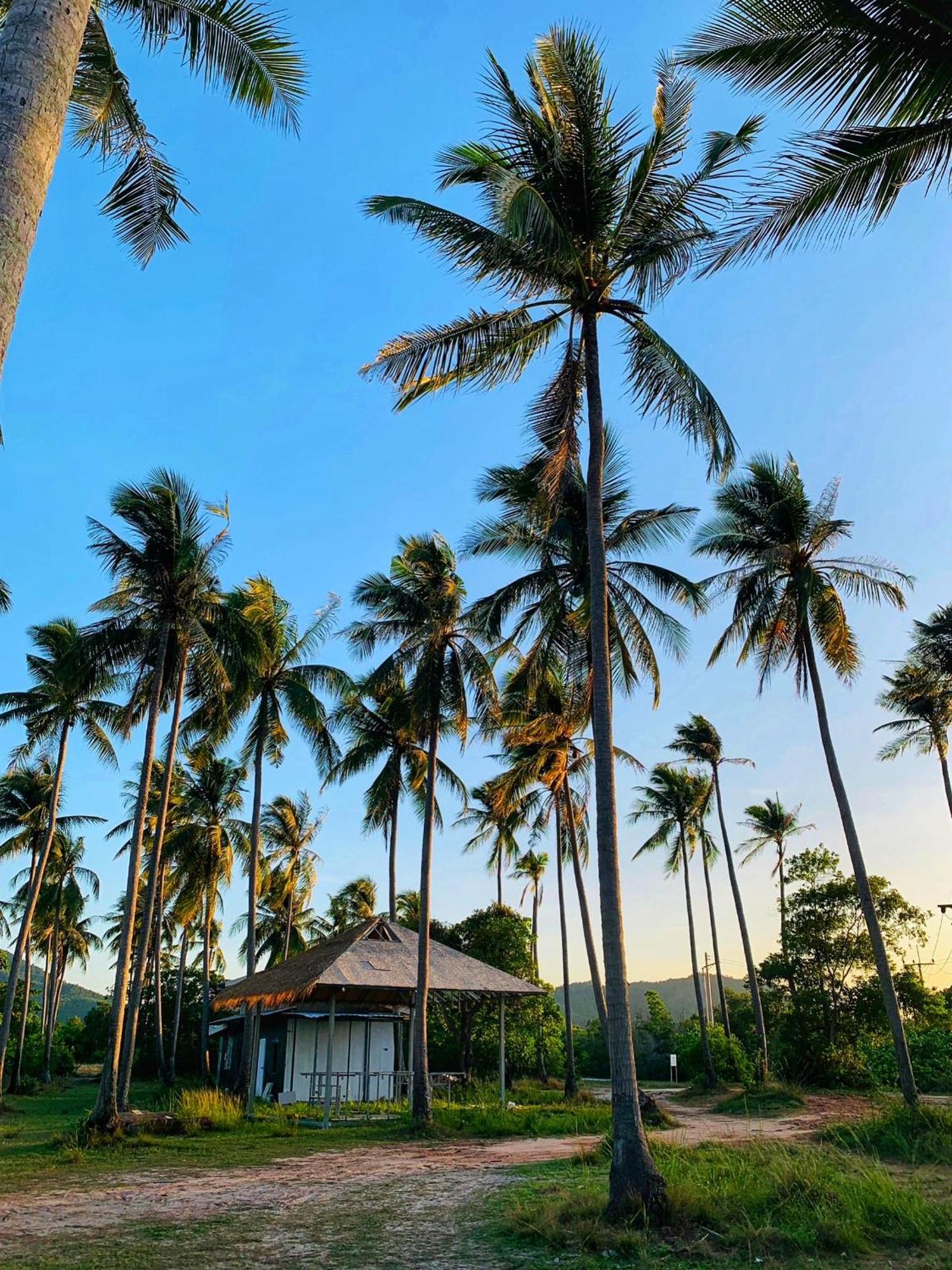 Backpack Hostel Kohyaoyai Ko Yao Yai Exterior photo